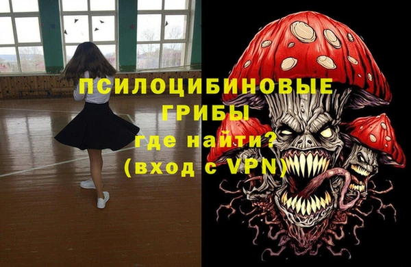 МДПВ Дмитровск