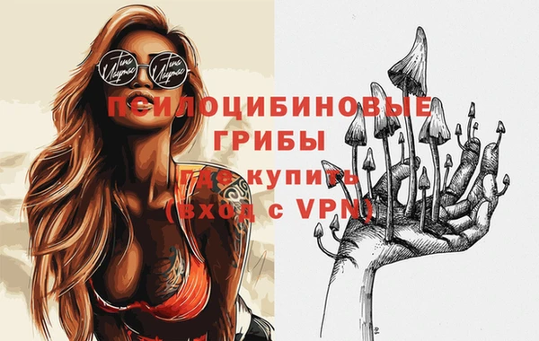 хмурый Дмитров