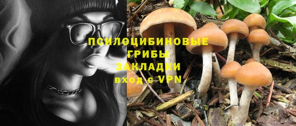 МДПВ Дмитровск