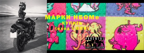 хмурый Дмитров