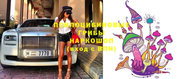 МДПВ Дмитровск
