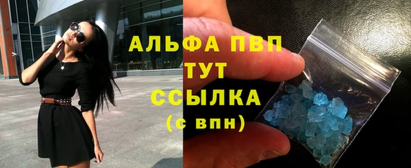 хмурый Дмитров